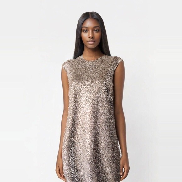 Twelfth Street by Cynthia Vincent Dresses & Skirts - TWELFTH STREET by CYNTHIA VINCENT Silver Metallic Shift MIni Dress Size Medium